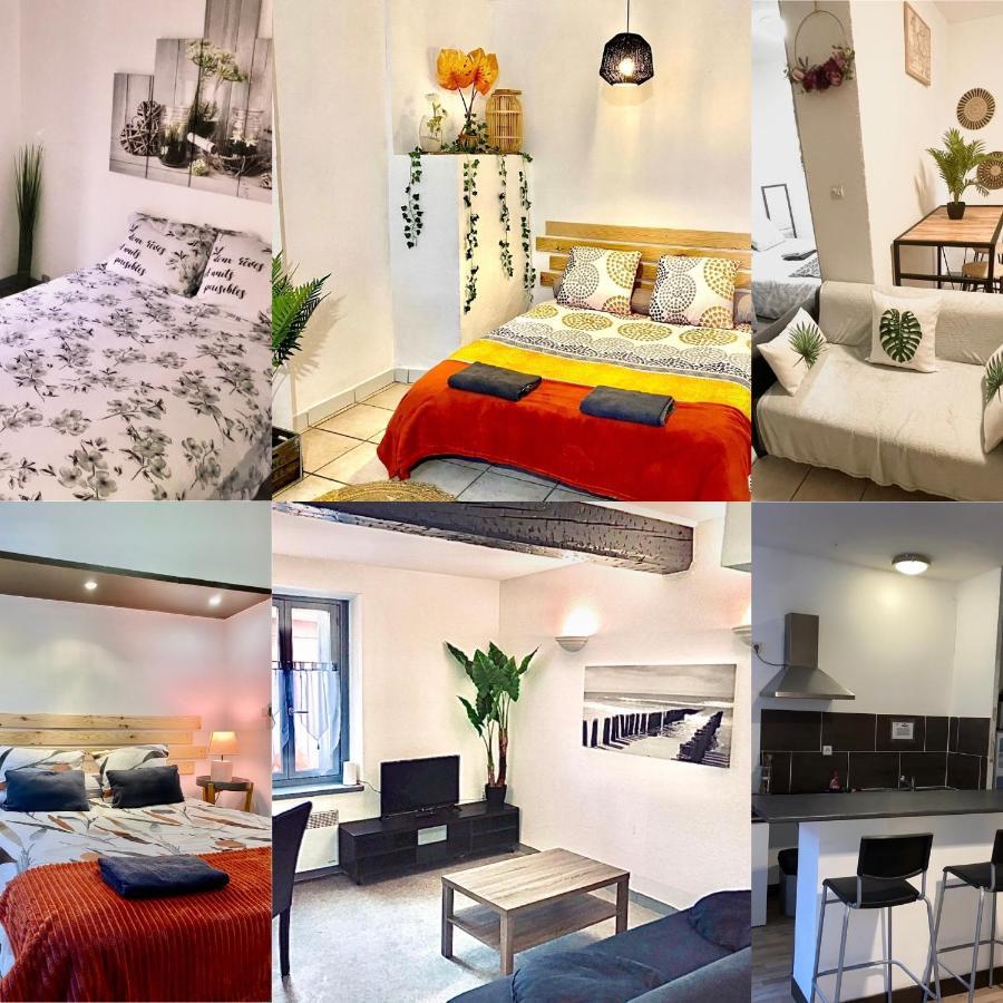 Appartements 24H 7J Carcassonne Zewnętrze zdjęcie